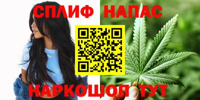 винт Тара
