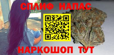 крисы Тверь