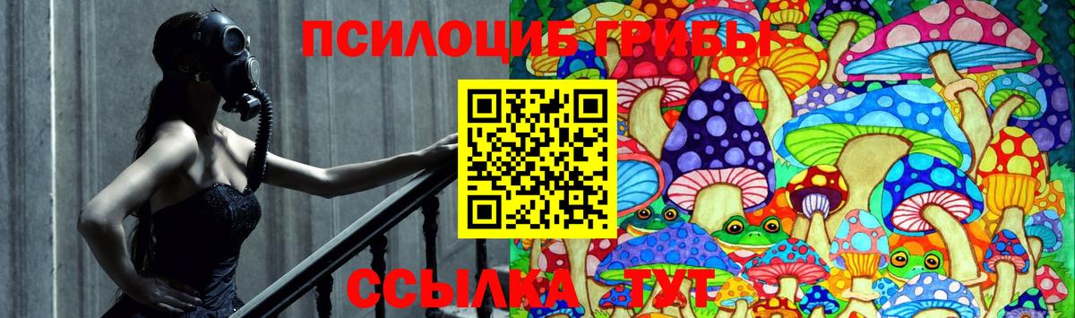 Псилоцибиновые грибы Magic Shrooms Норильск